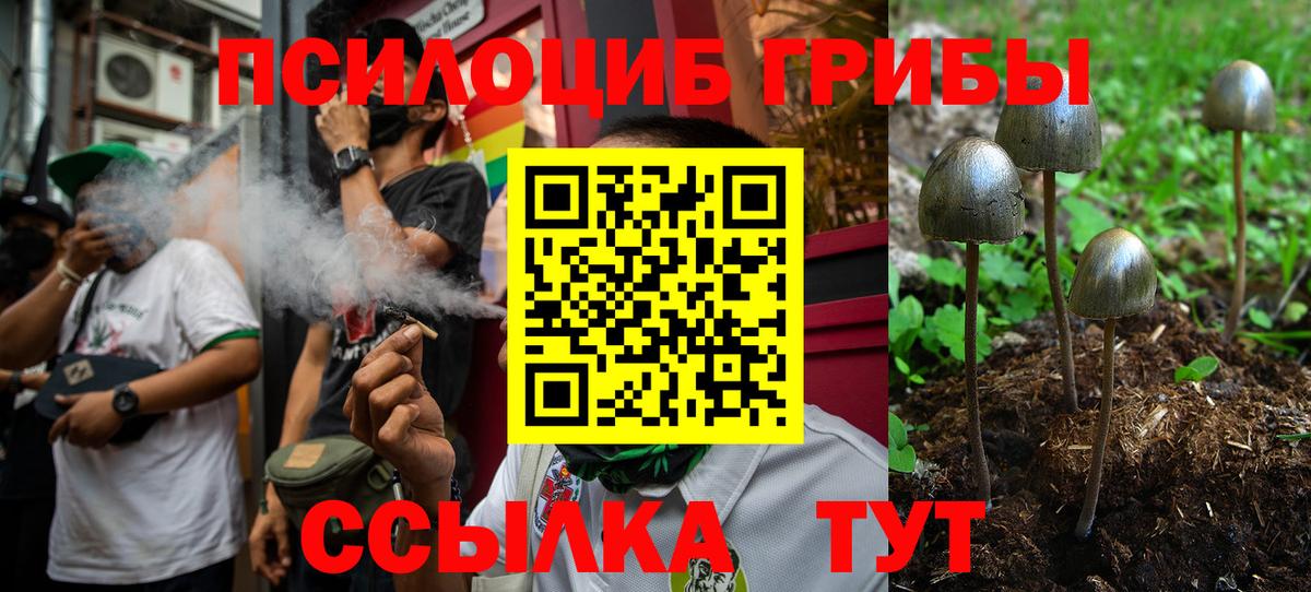 Галлюциногенные грибы мицелий Балашиха